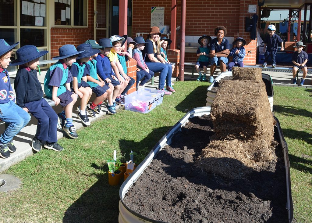 ELC Bunnings planting boxes