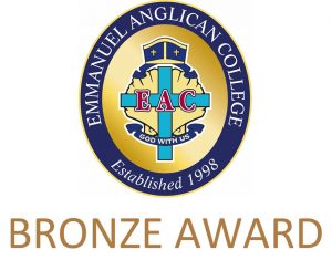 Bronze-Award-Logo