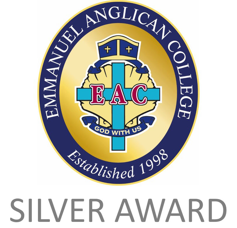 Silver-Award-Logo