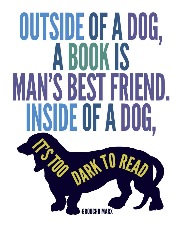 Outside of a Dog Quote Groucho Marx