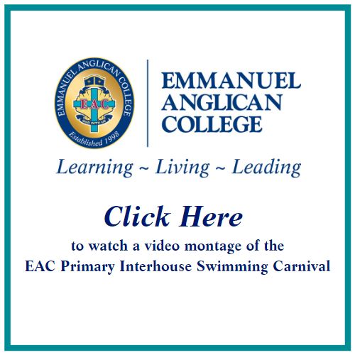 Watch This_Primary Swimming Carnival